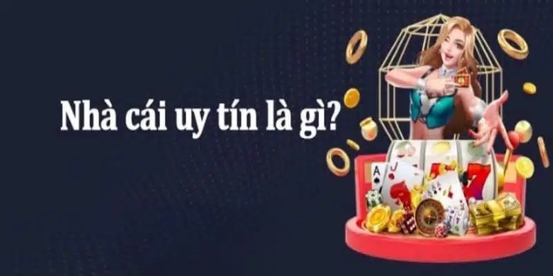 Dafabet hướng dẫn các đá gà ăn tiền nhà cái